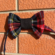 Papillon in tartan