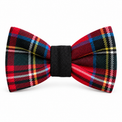 Tartan bow tie